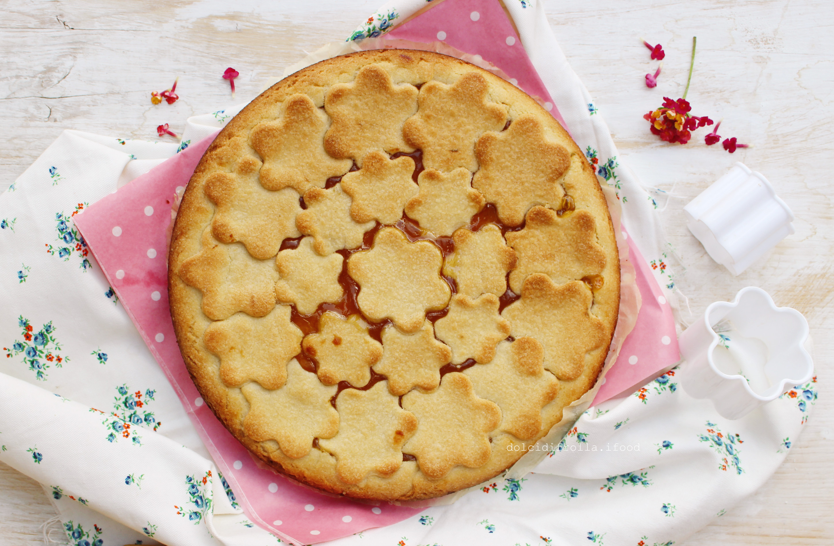 CROSTATA CON FROLLA AL COCCO E MARMELLATA DI ALBICOCCHE