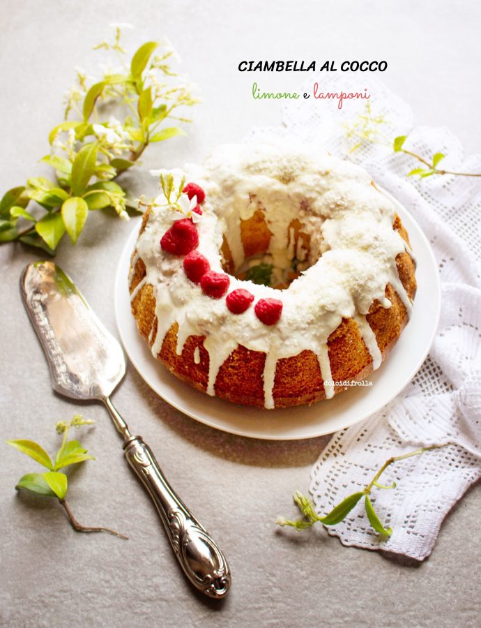 CIAMBELLA AL COCCO LIMONE E LAMPONI