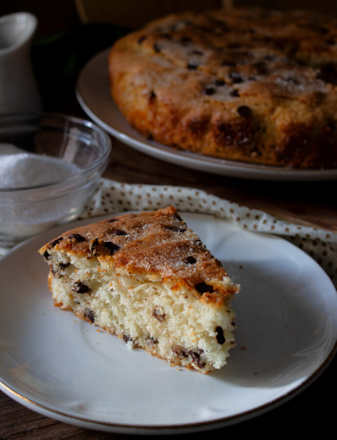 TORTA ALLO YOGURT CON GOCCE DI CIOCCOLATO